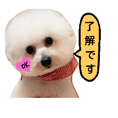 [LINEスタンプ] moco-sora-chibi