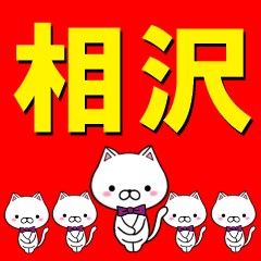 [LINEスタンプ] 超★相沢(あいざわ・あいさわ)なネコ