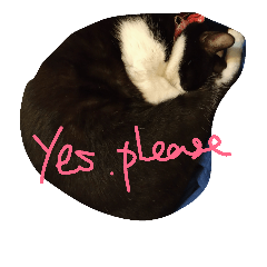 [LINEスタンプ] Fat feet Cat