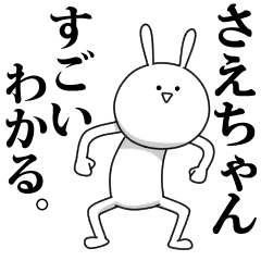 [LINEスタンプ] きも動く‼さえちゃん専用名前スタンプ