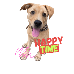 [LINEスタンプ] Happy Mao