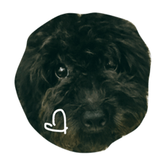 [LINEスタンプ] Life of Ashley