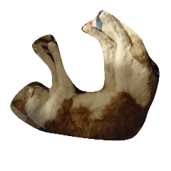 [LINEスタンプ] Road cat, his/her name is gyuel-ii.