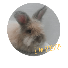 [LINEスタンプ] Flynn Rabbit