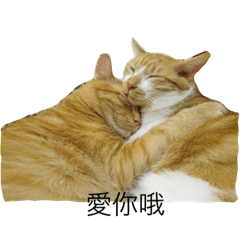 [LINEスタンプ] gunacat