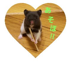 [LINEスタンプ] クロクマハムスターのみよしちゃん2 