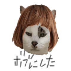 [LINEスタンプ] ボブとレン 