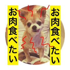 [LINEスタンプ] たにもと家
