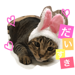 [LINEスタンプ] コテツくん