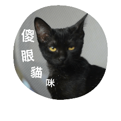 [LINEスタンプ] black bean cat