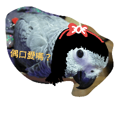 [LINEスタンプ] bird tachi