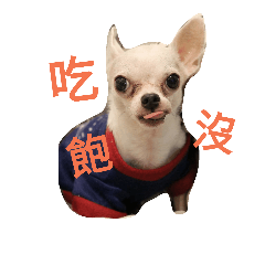 [LINEスタンプ] Chihuahua baby .