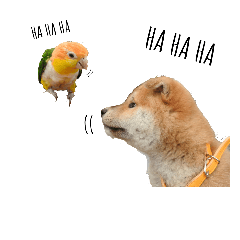 [LINEスタンプ] The story of two dogs and bird