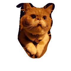 [LINEスタンプ] thecats