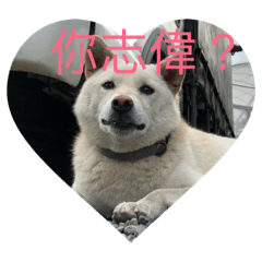 [LINEスタンプ] lookkikiket