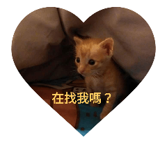 [LINEスタンプ] love yoy