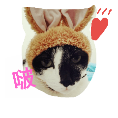 [LINEスタンプ] black ＆ white cat~poker
