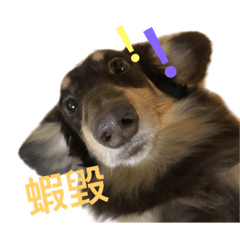 [LINEスタンプ] Dachshund boring life
