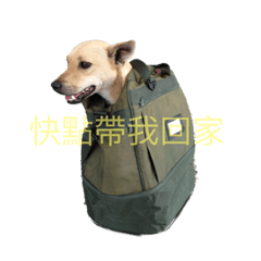 [LINEスタンプ] Super  Yellow Dog 