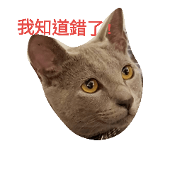 [LINEスタンプ] daniel＆evonne 