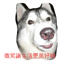 [LINEスタンプ] always in my heart 