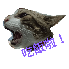[LINEスタンプ] Cat Princess Sinon's  Language2 
