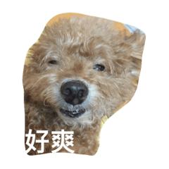 [LINEスタンプ] Miss wa 