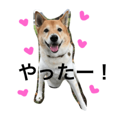 [LINEスタンプ] ラブリーラテ