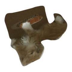 [LINEスタンプ] My kitten？