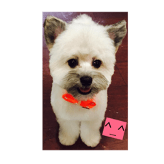 [LINEスタンプ] Dog><