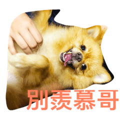 [LINEスタンプ] A meat daily