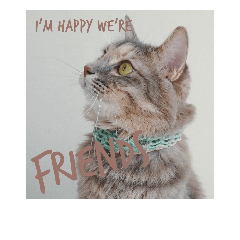 [LINEスタンプ] グレコの猫英語