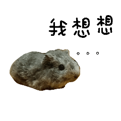 [LINEスタンプ] Burton's hamsters