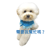 [LINEスタンプ] BAO DOG