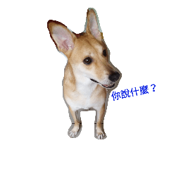 [LINEスタンプ] Men Men Zai