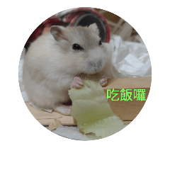 [LINEスタンプ] hamster everyday life