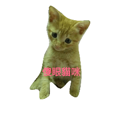 [LINEスタンプ] Rourou coming