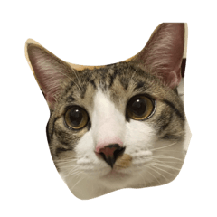 [LINEスタンプ] Mixs