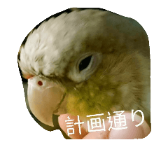 [LINEスタンプ] funny parrot's daily 2