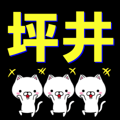 [LINEスタンプ] 超★坪井(つぼい・ひらい)なネコ