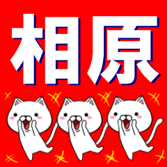 [LINEスタンプ] 超★相原(あいはら・さがら・あいら)なネコ