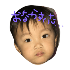[LINEスタンプ] こうがかいせい 