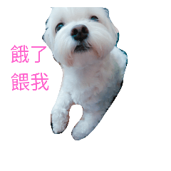 [LINEスタンプ] is my dog