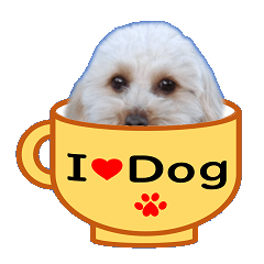 [LINEスタンプ] 犬の毎日6