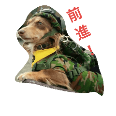 [LINEスタンプ] ワンコレンジャーマロン！