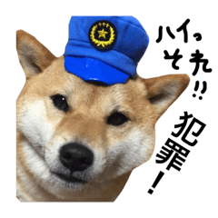 [LINEスタンプ] ミニ柴ポリス