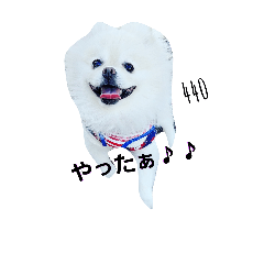 [LINEスタンプ] しし丸くん。