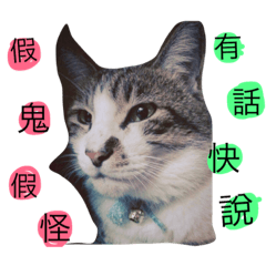 [LINEスタンプ] hello.7