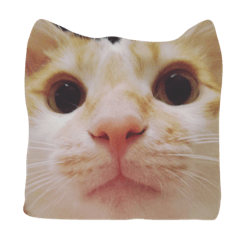 [LINEスタンプ] my cat meowth