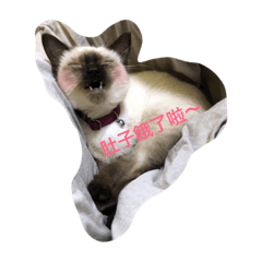 [LINEスタンプ] mini file